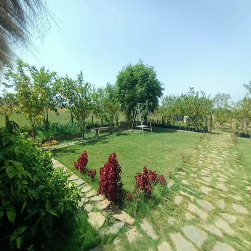 Jaivik Jeevan Farmstay A, Dhanora Haveli